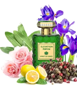 Perfumy Elevation 100ml