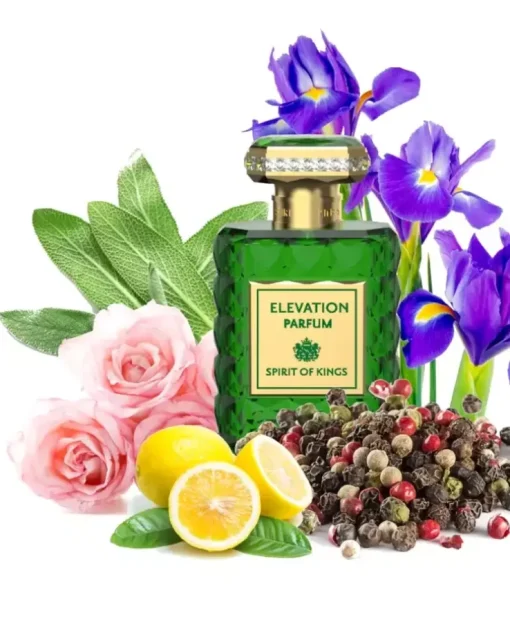 Perfumy Elevation 100ml