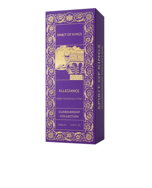 Spray do wnętrz ALLEGIANCE 250 ml